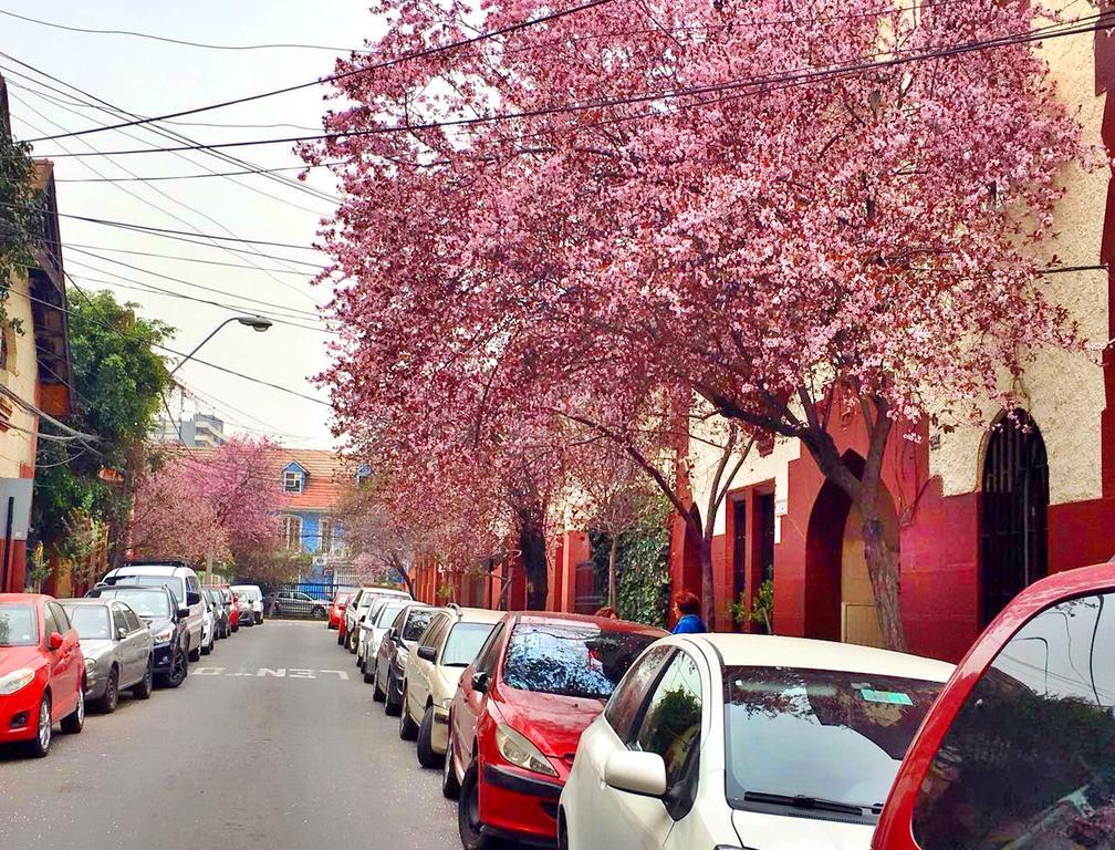 Bed and breakfast Tralkan